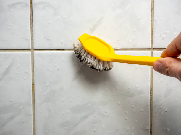 Mold Removal and Inspection in Lumber City, GA