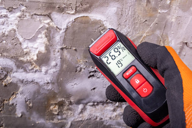 Best Mold Testing  in Lumber City, GA