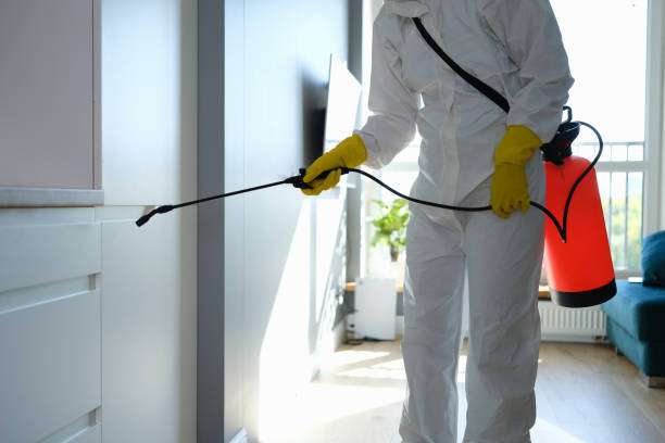Best Certified Mold Removal  in Lumber City, GA