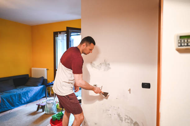 Best Mold Damage Repair  in Lumber City, GA