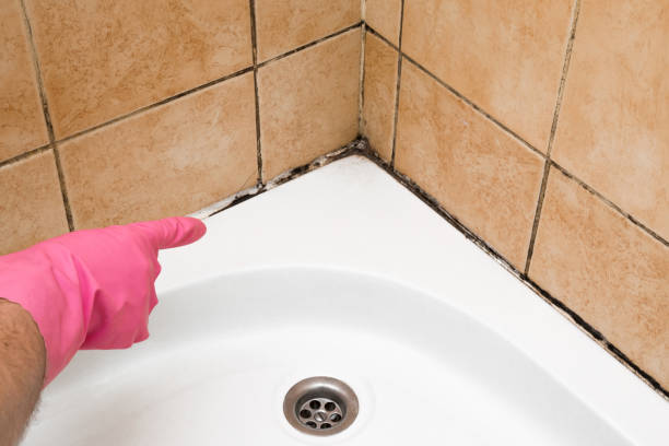 Best Office Mold Removal Services  in Lumber City, GA